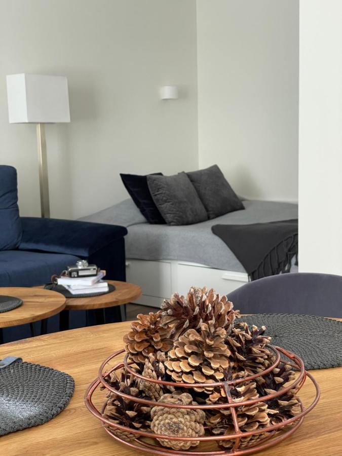 Forest Studio Druskininkai Exteriér fotografie