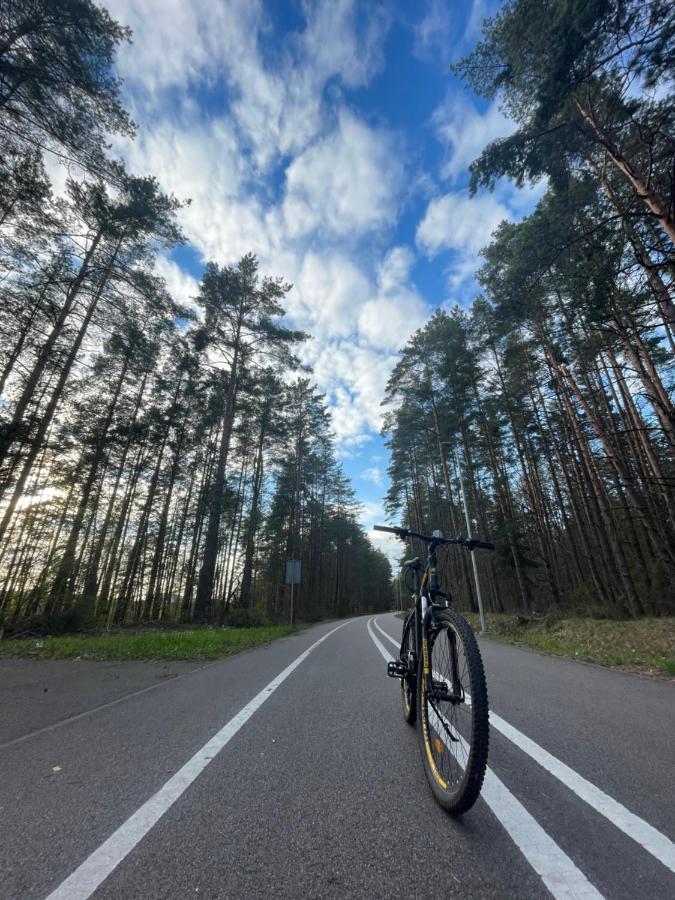 Forest Studio Druskininkai Exteriér fotografie